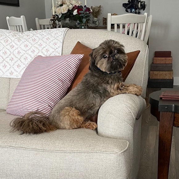 Meet your Posher, Sharon - Picture 2 of 3